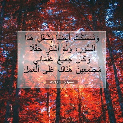 Picture 07 - نَحَمْيَا 5:16 AVD - وَتَمَسَّكْتُ أَيْضًا - Bible Verse Picture