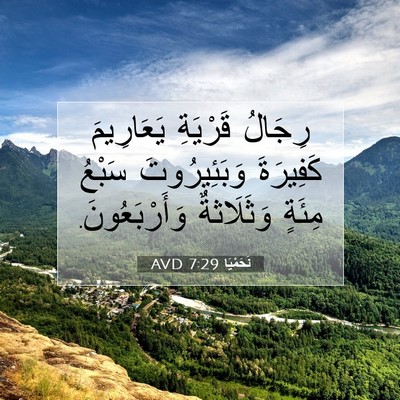 Picture 07 - نَحَمْيَا 7:29 AVD - رِجَالُ قَرْيَةِ - Bible Verse Picture