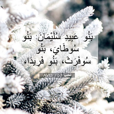 Picture 07 - نَحَمْيَا 7:57 AVD - بَنُو عَبِيدِ سُلَيْمَانَ: - Bible Verse Picture