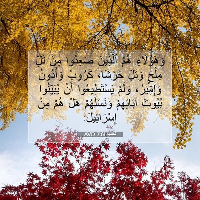 Picture 07 - نَحَمْيَا 7:61 AVD - وَهَؤُلَاءِ هُمُ - Bible Verse Picture