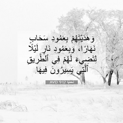 Picture 07 - نَحَمْيَا 9:12 AVD - وَهَدَيْتَهُمْ بِعَمُودِ - Bible Verse Picture