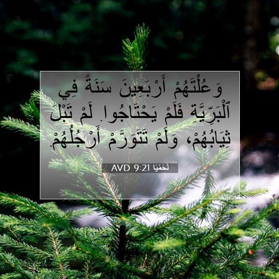 Picture 07 - نَحَمْيَا 9:21 AVD - وَعُلْتَهُمْ أَرْبَعِينَ - Bible Verse Picture