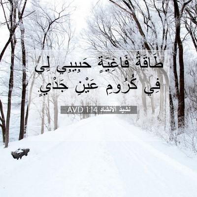 Picture 07 - نَشِيدُ ٱلْأَنْشَادِ 1:14 AVD - طَاقَةُ فَاغِيَةٍ - Bible Verse Picture