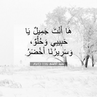Picture 07 - نَشِيدُ ٱلْأَنْشَادِ 1:16 AVD - هَا أَنْتَ جَمِيلٌ يَا - Bible Verse Picture