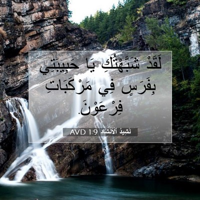 Picture 07 - نَشِيدُ ٱلْأَنْشَادِ 1:9 AVD - لَقَدْ شَبَّهْتُكِ يَا - Bible Verse Picture