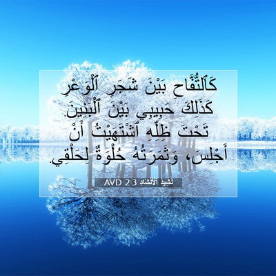 Picture 07 - نَشِيدُ ٱلْأَنْشَادِ 2:3 AVD - كَٱلتُّفَّاحِ بَيْنَ - Bible Verse Picture
