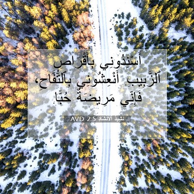 Picture 07 - نَشِيدُ ٱلْأَنْشَادِ 2:5 AVD - أَسْنِدُونِي بِأَقْرَاصِ - Bible Verse Picture