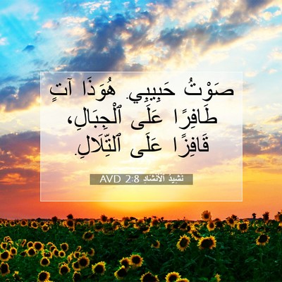 Picture 07 - نَشِيدُ ٱلْأَنْشَادِ 2:8 AVD - صَوْتُ حَبِيبِي. هُوَذَا - Bible Verse Picture