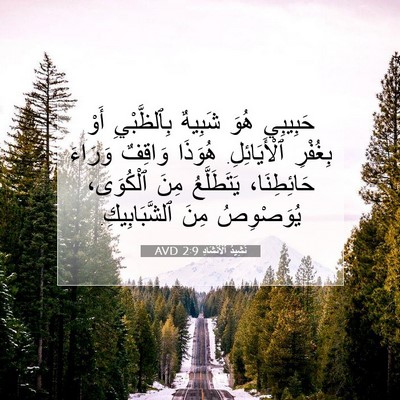 Picture 07 - نَشِيدُ ٱلْأَنْشَادِ 2:9 AVD - حَبِيبِي هُوَ شَبِيهٌ - Bible Verse Picture
