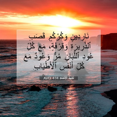 Picture 07 - نَشِيدُ ٱلْأَنْشَادِ 4:14 AVD - نَارِدِينٍ وَكُرْكُمٍ. - Bible Verse Picture