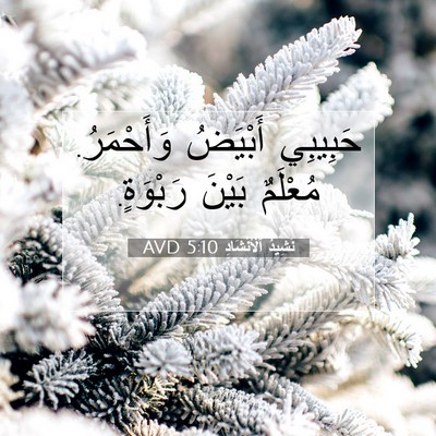 Picture 07 - نَشِيدُ ٱلْأَنْشَادِ 5:10 AVD - حَبِيبِي أَبْيَضُ - Bible Verse Picture