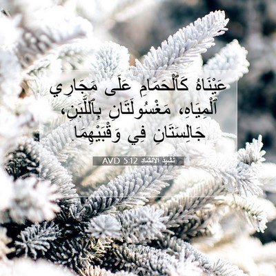 Picture 07 - نَشِيدُ ٱلْأَنْشَادِ 5:12 AVD - عَيْنَاهُ كَٱلْحَمَامِ - Bible Verse Picture