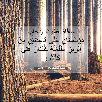 Picture 07 - نَشِيدُ ٱلْأَنْشَادِ 5:15 AVD - سَاقَاهُ عَمُودَا - Bible Verse Picture
