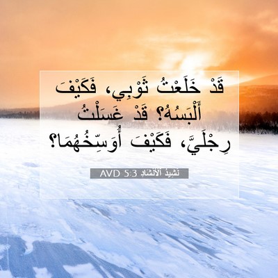 Picture 07 - نَشِيدُ ٱلْأَنْشَادِ 5:3 AVD - قَدْ خَلَعْتُ ثَوْبِي، - Bible Verse Picture