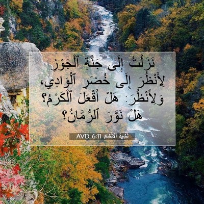 Picture 07 - نَشِيدُ ٱلْأَنْشَادِ 6:11 AVD - نَزَلْتُ إِلَى جَنَّةِ - Bible Verse Picture