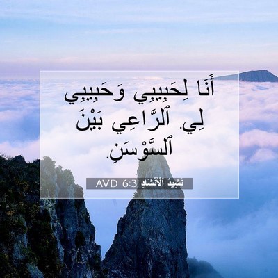 Picture 07 - نَشِيدُ ٱلْأَنْشَادِ 6:3 AVD - أَنَا لِحَبِيبِي - Bible Verse Picture