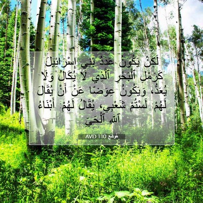 Picture 07 - هُوشَع 1:10 AVD - لَكِنْ يَكُونُ عَدَدُ - Bible Verse Picture