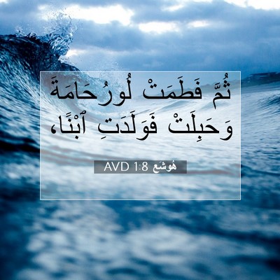 Picture 07 - هُوشَع 1:8 AVD - ثُمَّ فَطَمَتْ - Bible Verse Picture