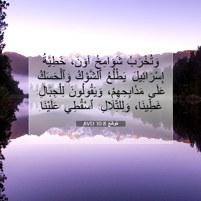 Picture 07 - هُوشَع 10:8 AVD - وَتُخْرَبُ شَوَامِخُ - Bible Verse Picture