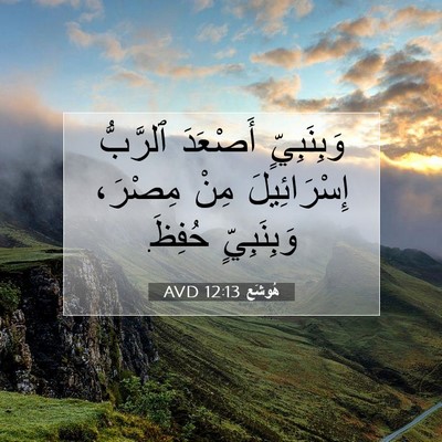 Picture 07 - هُوشَع 12:13 AVD - وَبِنَبِيٍّ أَصْعَدَ - Bible Verse Picture