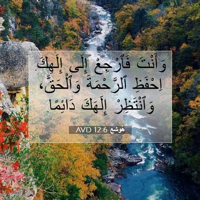 Picture 07 - هُوشَع 12:6 AVD - وَأَنْتَ فَٱرْجِعْ إِلَى - Bible Verse Picture