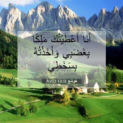 Picture 07 - هُوشَع 13:11 AVD - أَنَا أَعْطَيْتُكَ - Bible Verse Picture