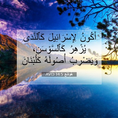 Picture 07 - هُوشَع 14:5 AVD - أَكُونُ لِإِسْرَائِيلَ - Bible Verse Picture