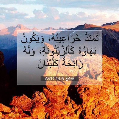 Picture 07 - هُوشَع 14:6 AVD - تَمْتَدُّ خَرَاعِيبُهُ، - Bible Verse Picture