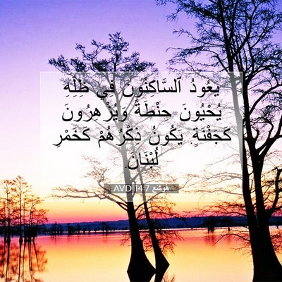 Picture 07 - هُوشَع 14:7 AVD - يَعُودُ ٱلسَّاكِنُونَ فِي - Bible Verse Picture