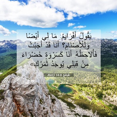 Picture 07 - هُوشَع 14:8 AVD - يَقُولُ أَفْرَايِمُ: مَا - Bible Verse Picture