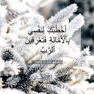 Picture 07 - هُوشَع 2:20 AVD - أَخْطُبُكِ لِنَفْسِي - Bible Verse Picture