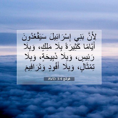 Picture 07 - هُوشَع 3:4 AVD - لِأَنَّ بَنِي - Bible Verse Picture
