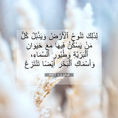 Picture 07 - هُوشَع 4:3 AVD - لِذَلِكَ تَنُوحُ - Bible Verse Picture