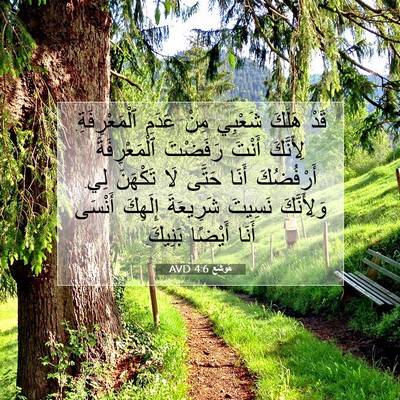 Picture 07 - هُوشَع 4:6 AVD - قَدْ هَلَكَ شَعْبِي مِنْ - Bible Verse Picture