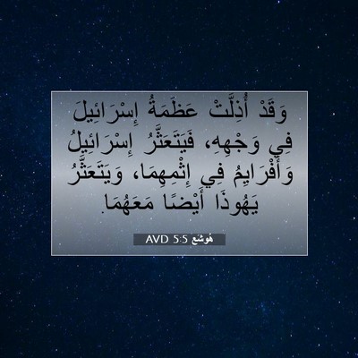 Picture 07 - هُوشَع 5:5 AVD - وَقَدْ أُذِلَّتْ عَظَمَةُ - Bible Verse Picture