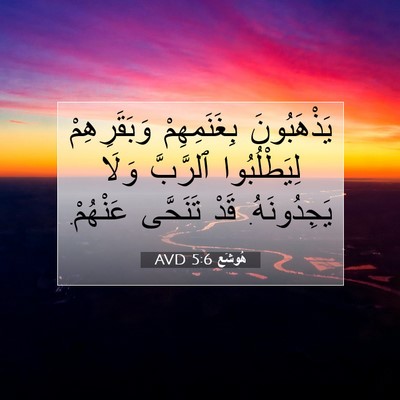 Picture 07 - هُوشَع 5:6 AVD - يَذْهَبُونَ بِغَنَمِهِمْ - Bible Verse Picture