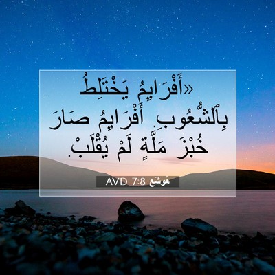 Picture 07 - هُوشَع 7:8 AVD - «أَفْرَايِمُ يَخْتَلِطُ - Bible Verse Picture