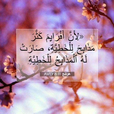 Picture 07 - هُوشَع 8:11 AVD - «لِأَنَّ أَفْرَايِمَ - Bible Verse Picture