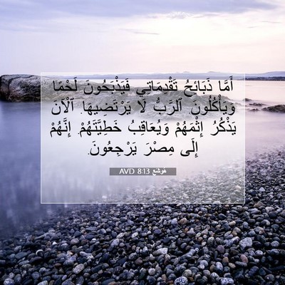 Picture 07 - هُوشَع 8:13 AVD - أَمَّا ذَبَائِحُ - Bible Verse Picture