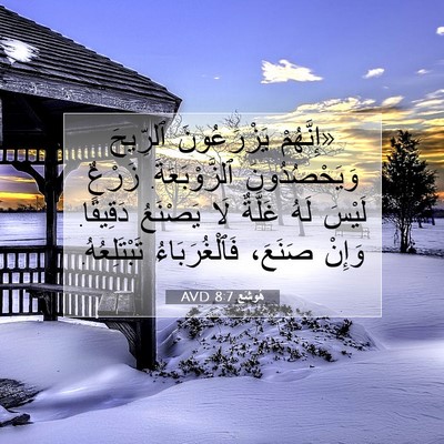 Picture 07 - هُوشَع 8:7 AVD - «إِنَّهُمْ يَزْرَعُونَ - Bible Verse Picture