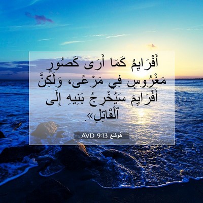 Picture 07 - هُوشَع 9:13 AVD - أَفْرَايِمُ كَمَا أَرَى - Bible Verse Picture