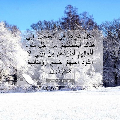 Picture 07 - هُوشَع 9:15 AVD - «كُلُّ شَرِّهِمْ فِي - Bible Verse Picture