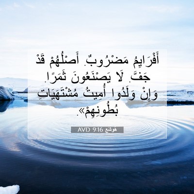 Picture 07 - هُوشَع 9:16 AVD - أَفْرَايِمُ مَضْرُوبٌ. - Bible Verse Picture