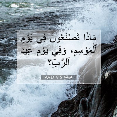 Picture 07 - هُوشَع 9:5 AVD - مَاذَا تَصْنَعُونَ فِي - Bible Verse Picture