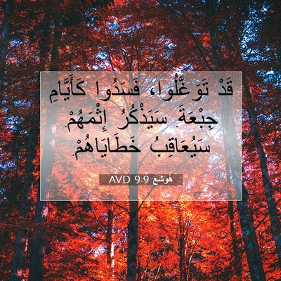 Picture 07 - هُوشَع 9:9 AVD - قَدْ تَوَغَّلُوا، - Bible Verse Picture