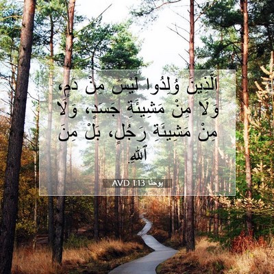 Picture 07 - يوحنَّا 1:13 AVD - اَلَّذِينَ وُلِدُوا - Bible Verse Picture