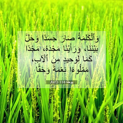Picture 07 - يوحنَّا 1:14 AVD - وَٱلْكَلِمَةُ صَارَ - Bible Verse Picture