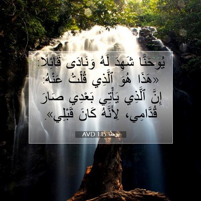 Picture 07 - يوحنَّا 1:15 AVD - يُوحَنَّا شَهِدَ لَهُ - Bible Verse Picture