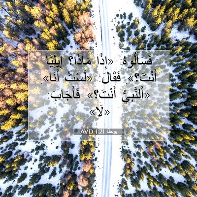Picture 07 - يوحنَّا 1:21 AVD - فَسَأَلُوهُ: «إِذًا - Bible Verse Picture