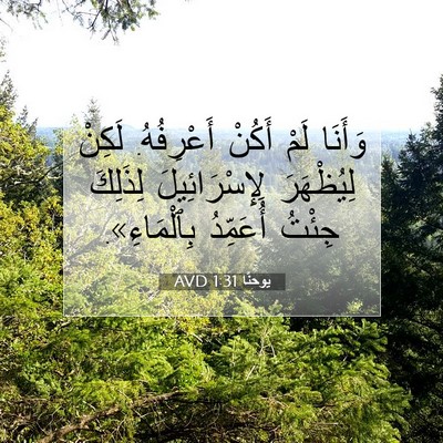 Picture 07 - يوحنَّا 1:31 AVD - وَأَنَا لَمْ أَكُنْ - Bible Verse Picture